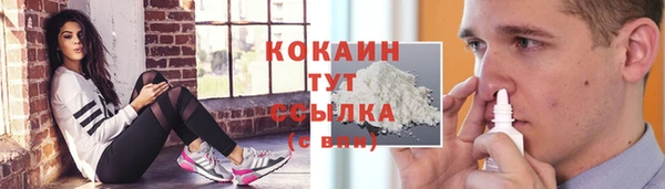 сатива Алексин