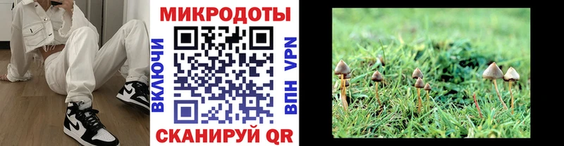 kraken сайт где купить наркоту Староминская Галлюциногенные грибы мухоморы